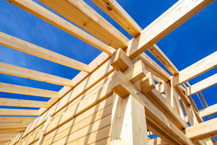Framework Pau