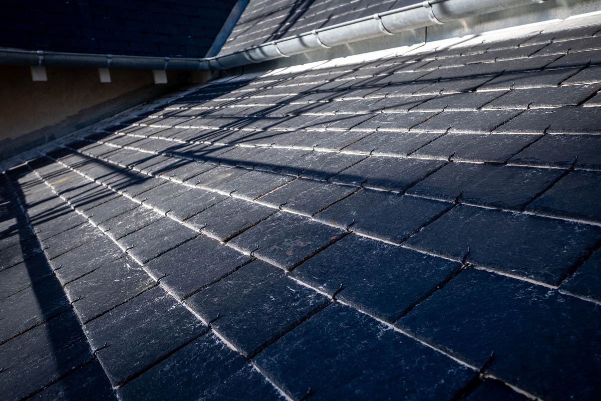 Roofing renovation Pau
